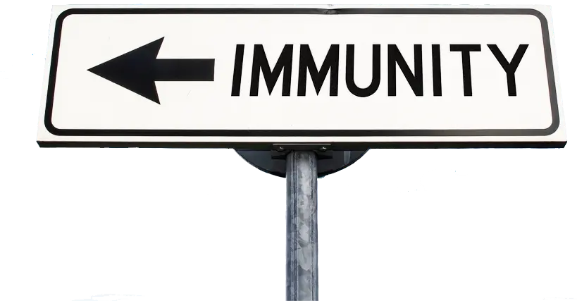 AnyConv.com__immun